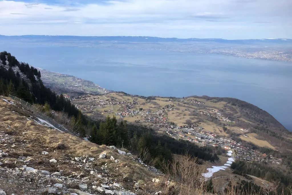 Studio entièrement rénové entre lac et montagne Thollon-les-Mémises
